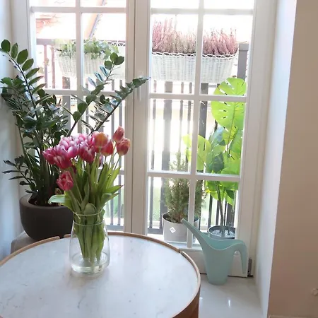 View In Appartement *