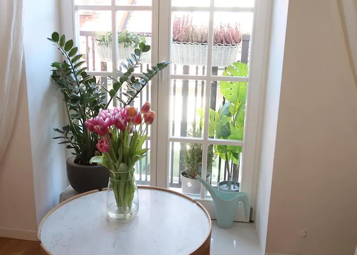 View In Apartamento *